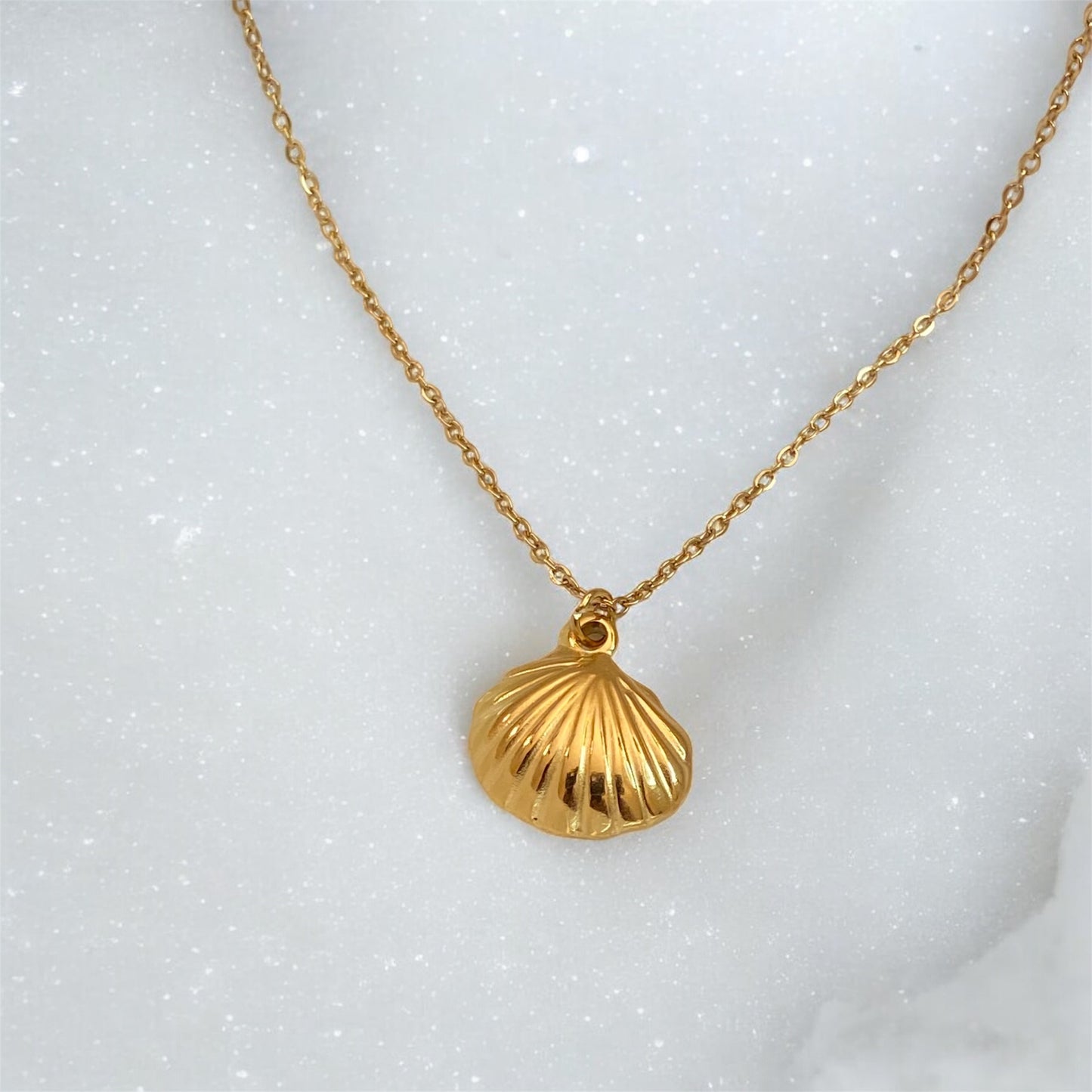 Gold Plated Sea Sheel Necklace