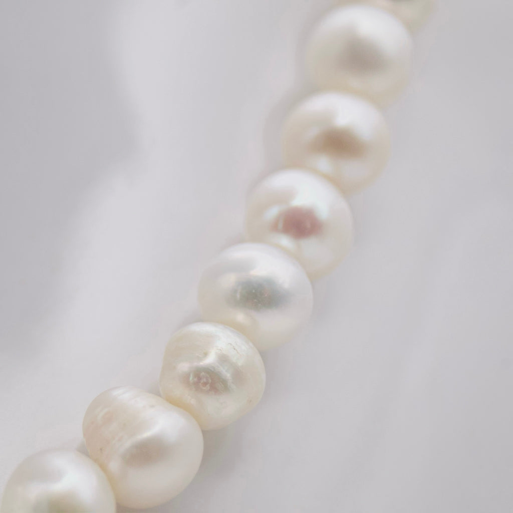 ASIMINCI
