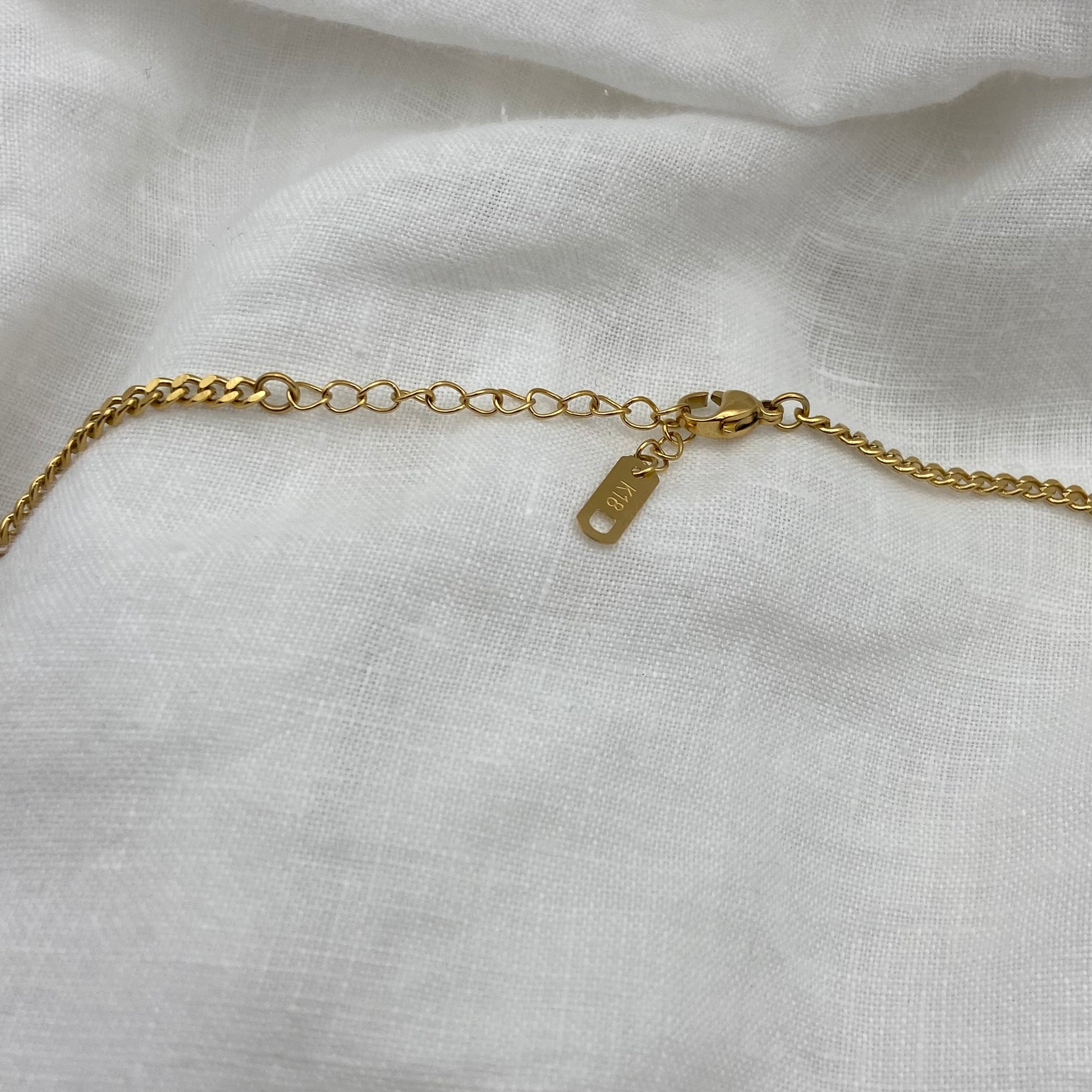 Freshwater Pearl with Gold Plated Steel Chain Necklace