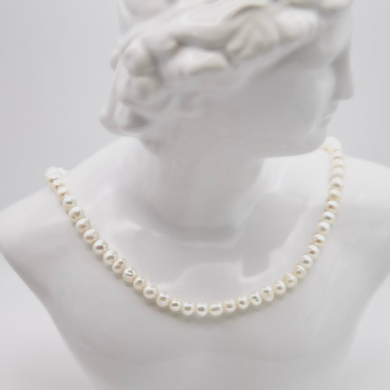 ASIMINCI - GREEK LORDE