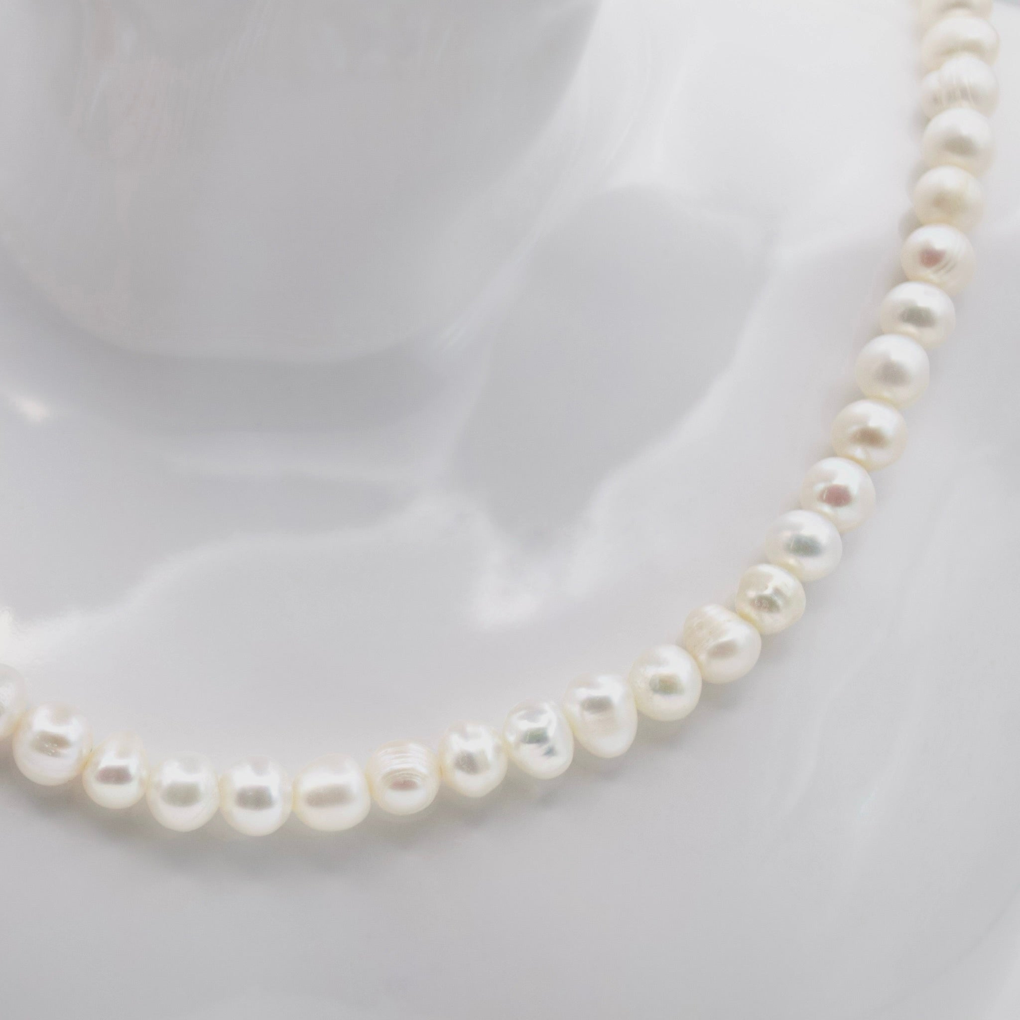 ASIMINCI - GREEK LORDE