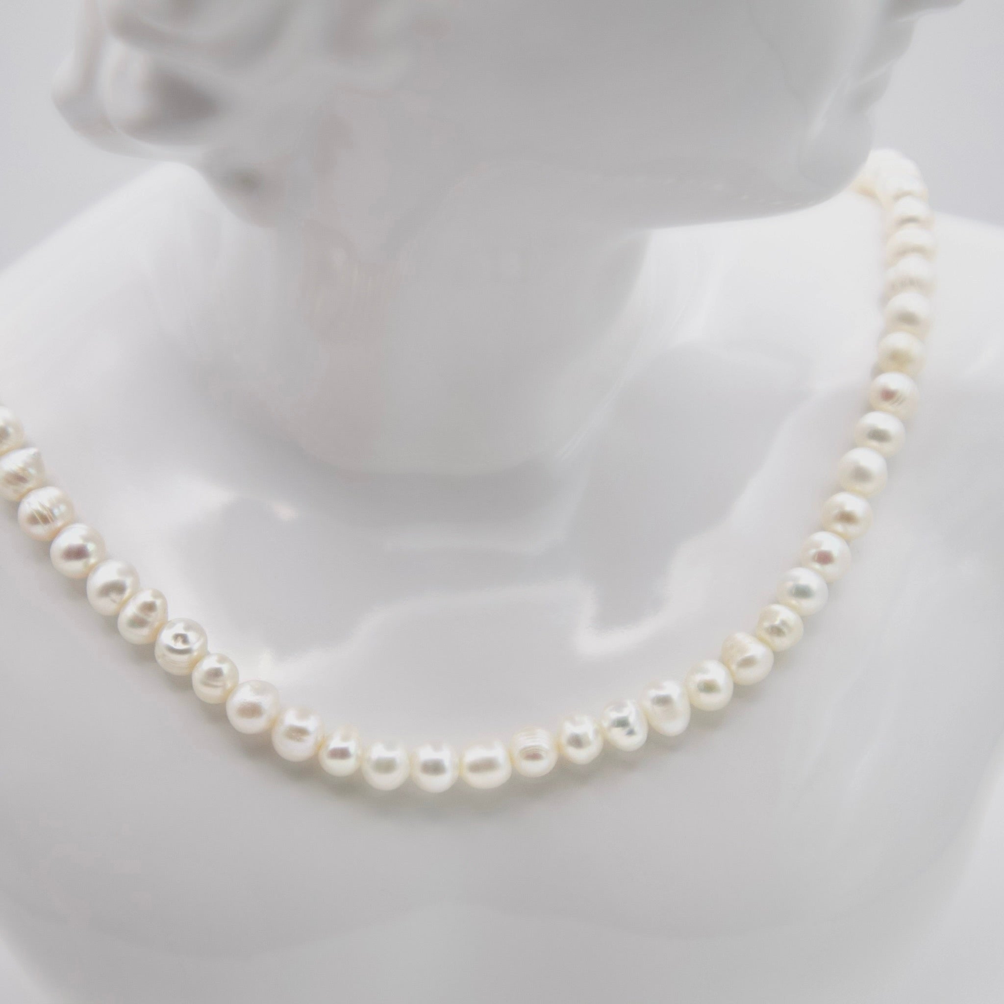 ASIMINCI - GREEK LORDE