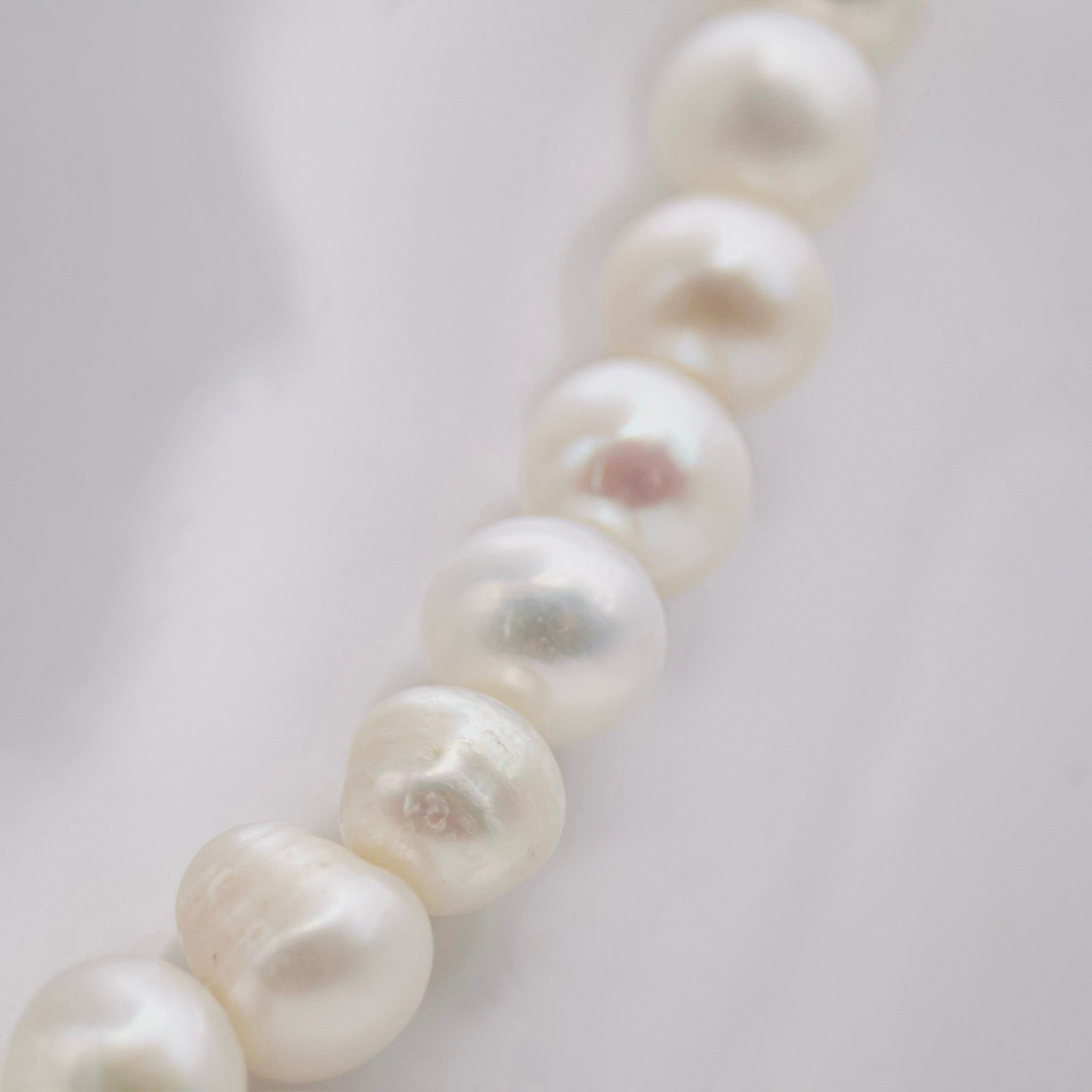 ASIMINCI - GREEK LORDE