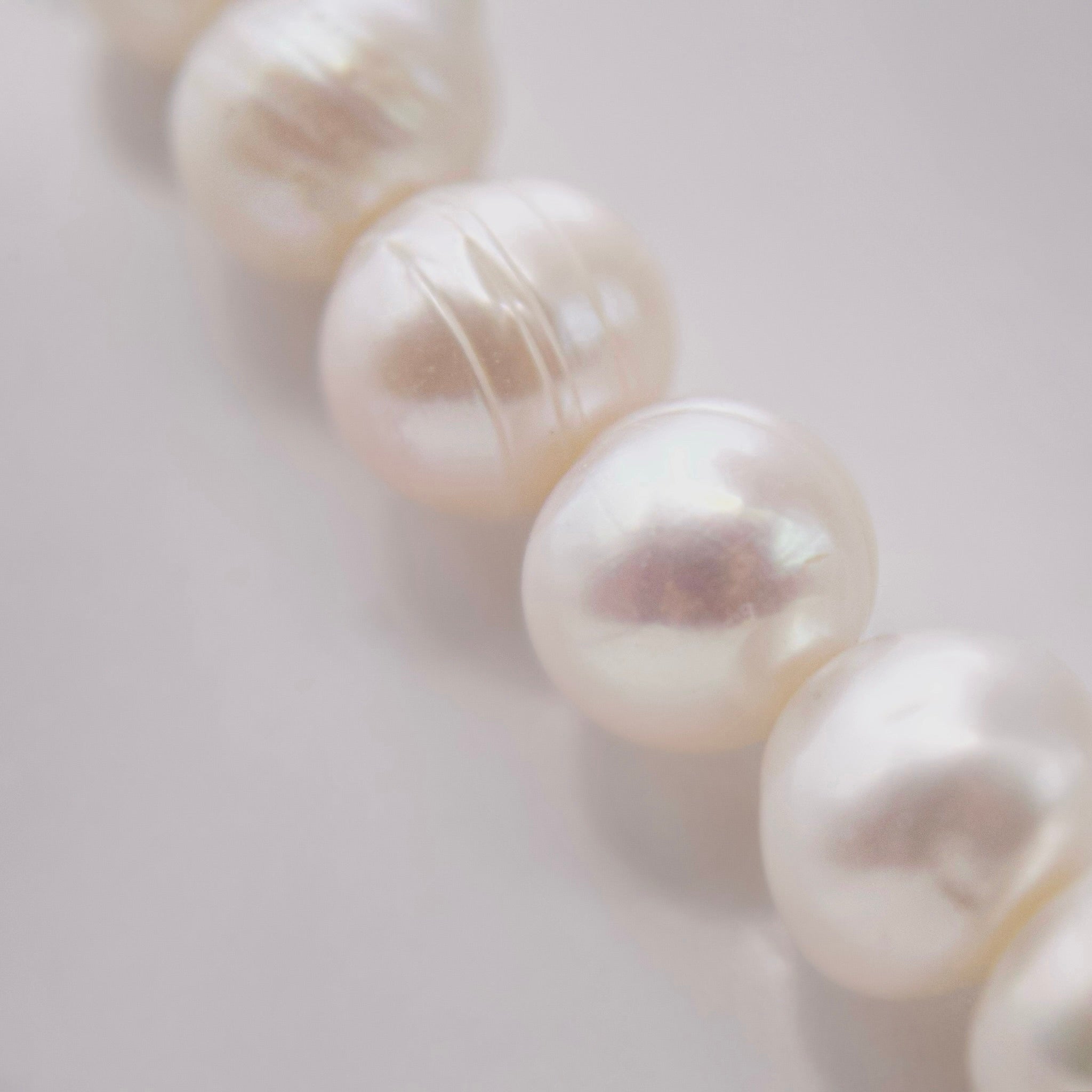 ASIMINCI - GREEK LORDE