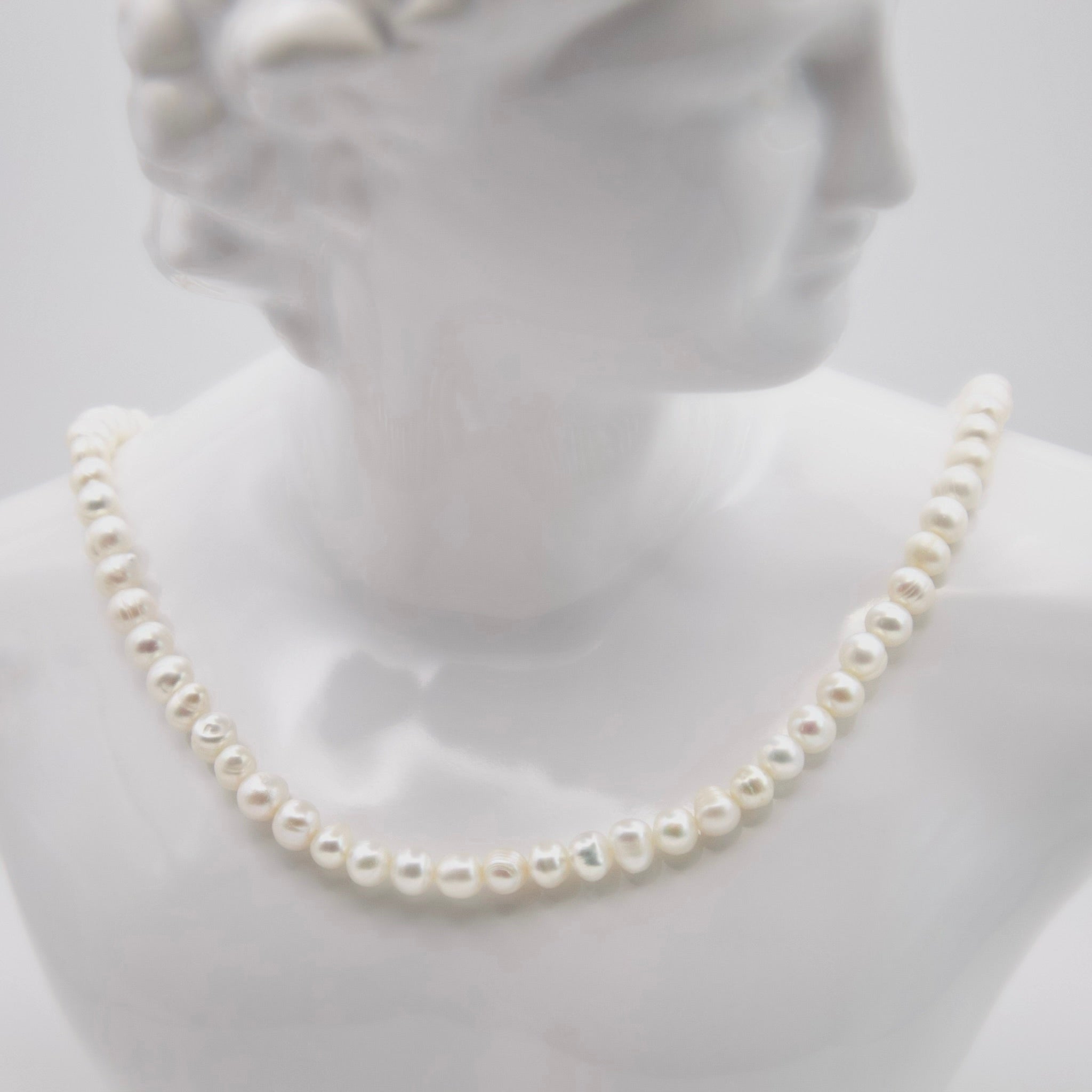ASIMINCI - GREEK LORDE