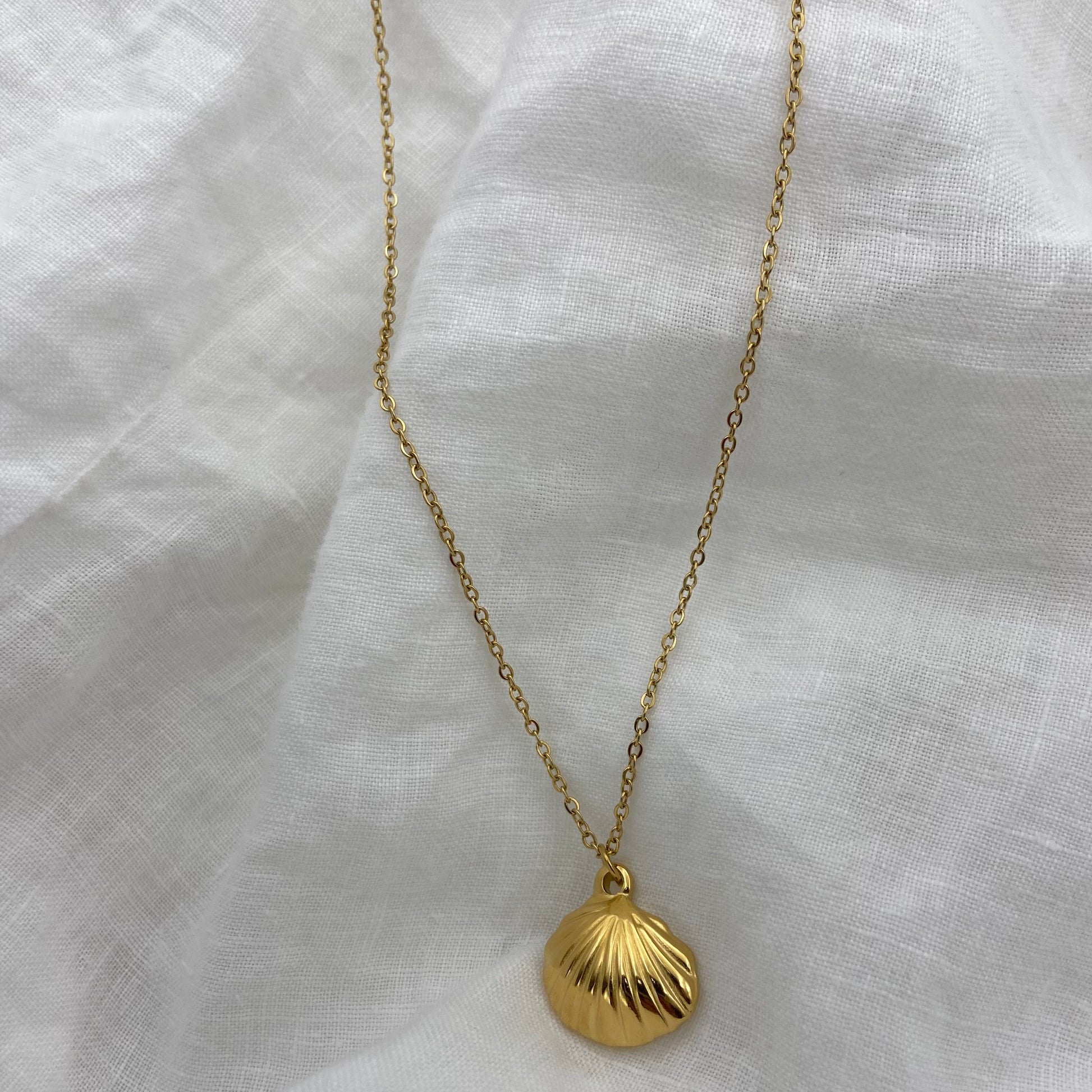 Gold Plated Sea Sheel Necklace