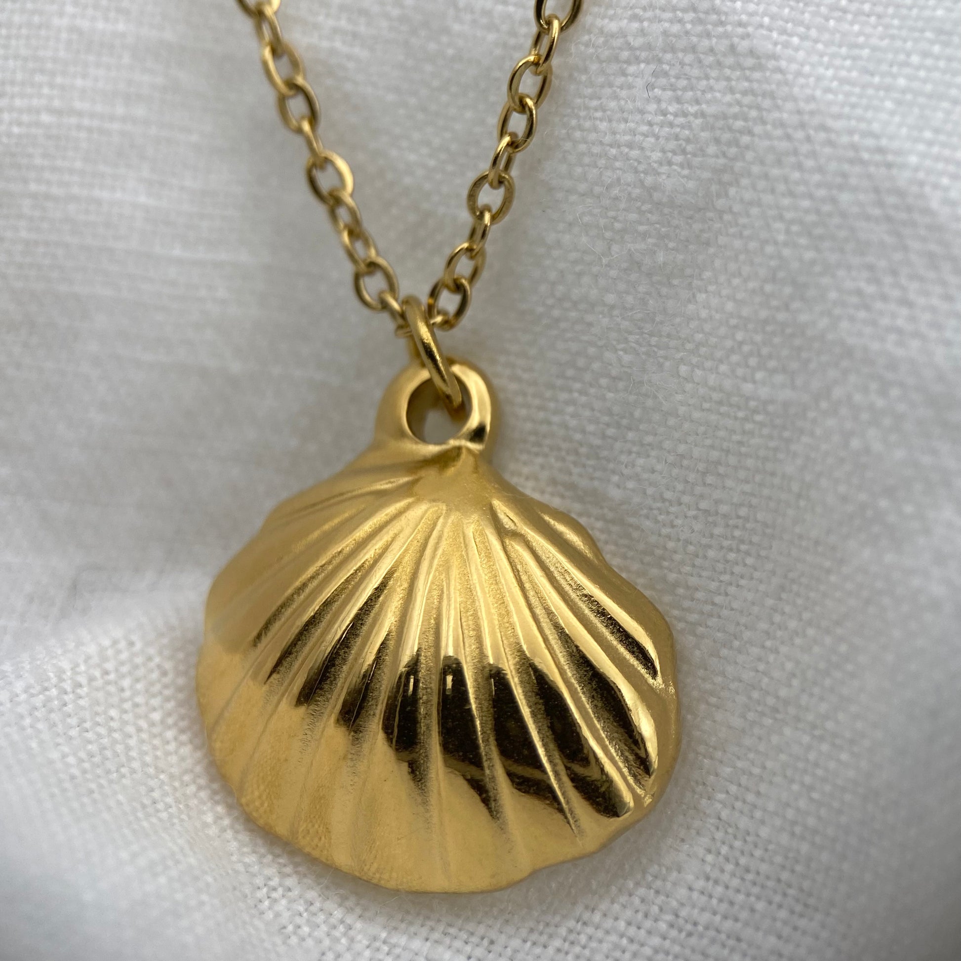 Gold Plated Sea Sheel Necklace