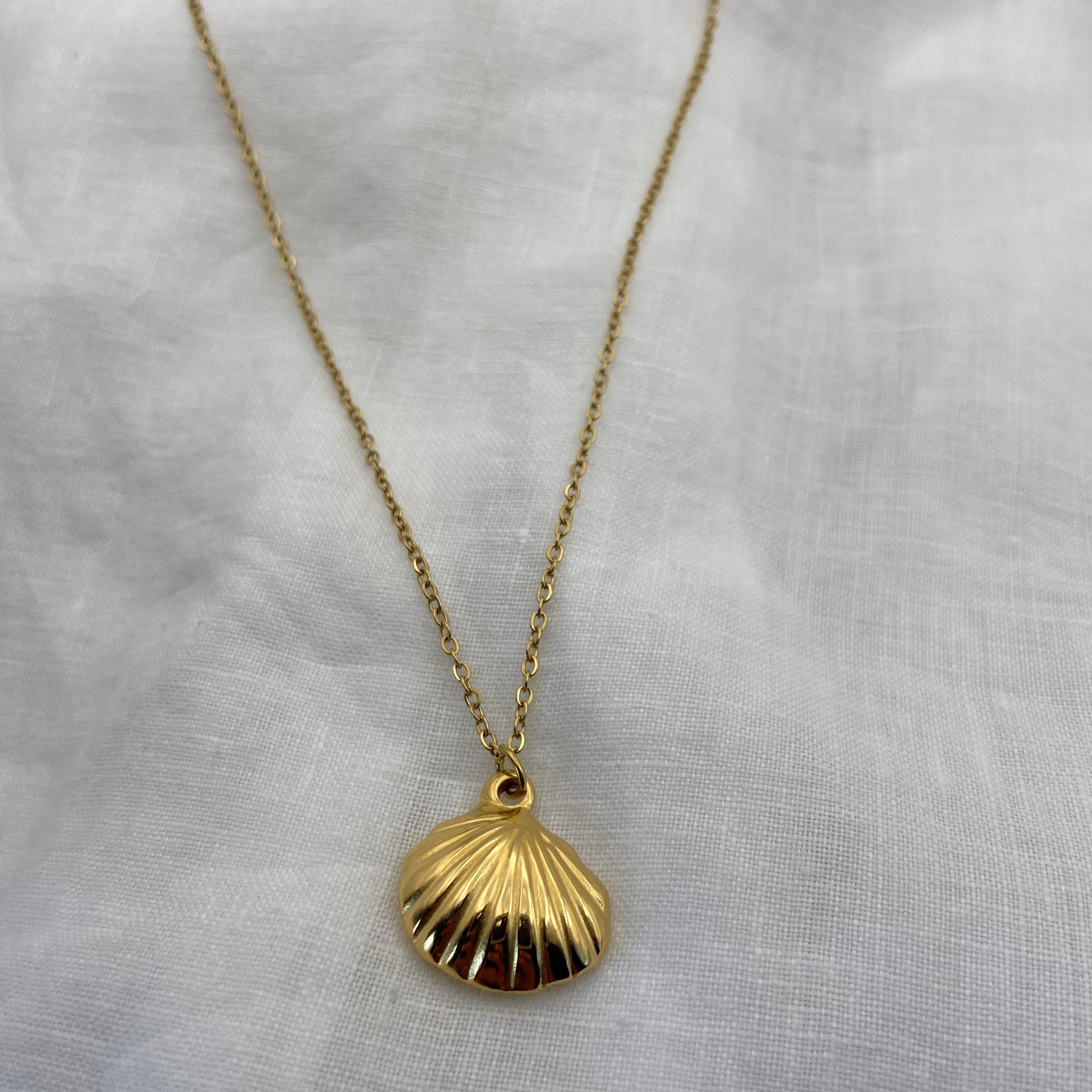 Gold Plated Sea Sheel Necklace