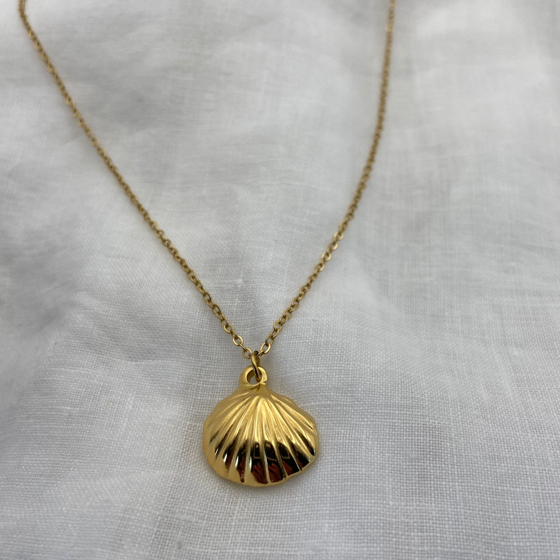 Gold Plated Sea Sheel Necklace